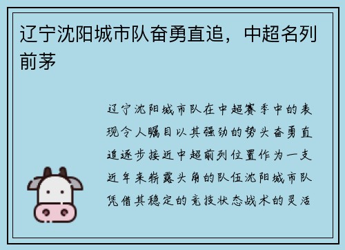 辽宁沈阳城市队奋勇直追，中超名列前茅
