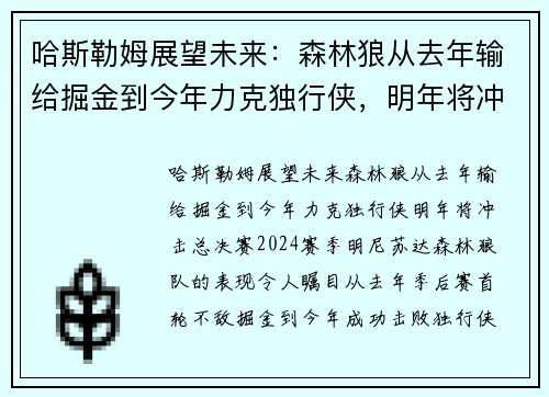 哈斯勒姆展望未来：森林狼从去年输给掘金到今年力克独行侠，明年将冲击总决赛！